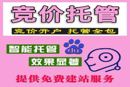 百度推广托管实战案例，揭秘高效广告投放技巧